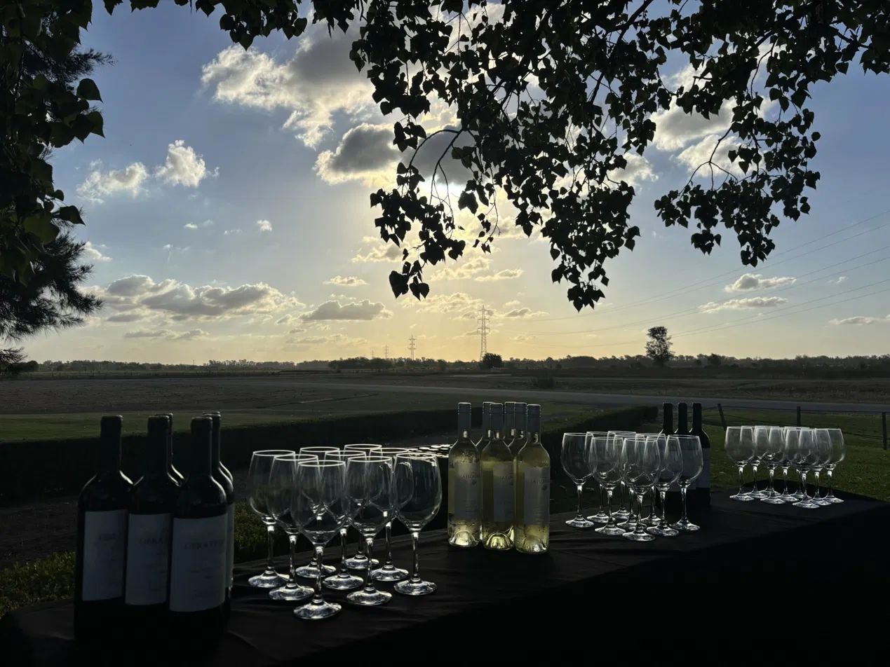 Barra de vinos al atardecer